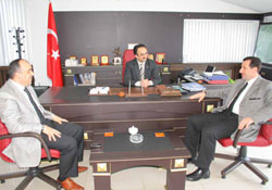 Tok; Bu bir veda değil