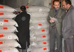 Çiftçilere ucuz tohumluk çeltik