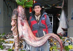 1'85 cm'lik yayın balığı