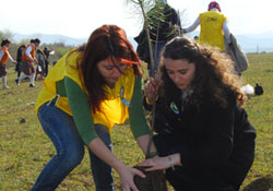 Ağaçlandırma devam ediyor