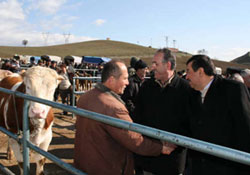 Besicilik Havzanın can damarı