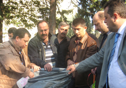 Kayın mantarı çiftçiye umut oldu