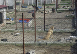 Verdikleri sözleri tutsunlar