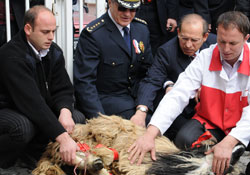 Polis Teşkilatı kurban kesti