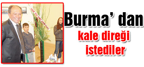 Burma'dan kale direği istediler