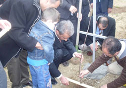 Her öğrenci bir fidan dikti
