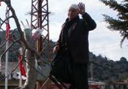 Ağaçlar aşılandı