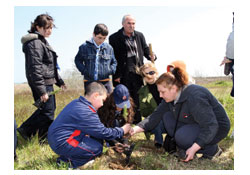 Bir öğrenci bir fidan