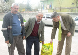 Ucuz fasulye tohumu dağıtıldı