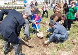 Bin fidan toprakla buluştu