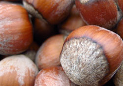 TMO'dan Tanıtımın ve kampanya