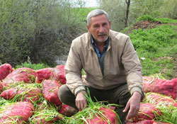 Soğan üretimi de tarihe karıştı