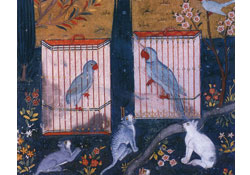 Kırlangıç resim yarışması ve uçurtma şenliği