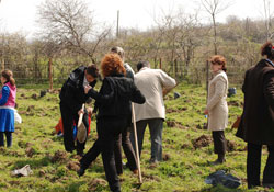 Bin fidan toprakla buluştu