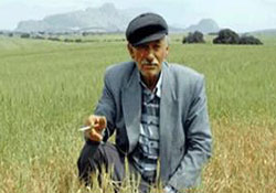 Ekmek zammına ziraattan tepki