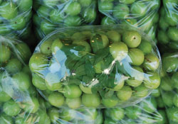 Aş ermenin tam zamanı