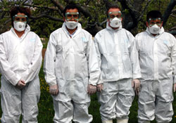 Keneye karşı mücadele başlatıldı