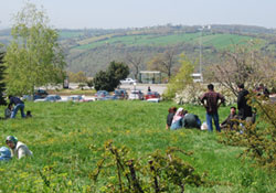 Baharla birlikte piknik sezonu başladı