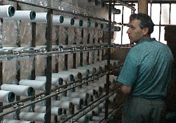 Teşvikte, bölgesel ayrılık!