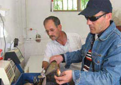 Av yasağı başlıyor