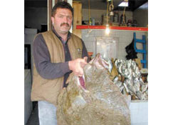 Balıkçılara bir hafta süre tanındı