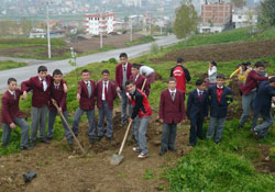 Ağaç yaşken eğilir