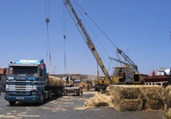 50 milyon ton yem açığımız var