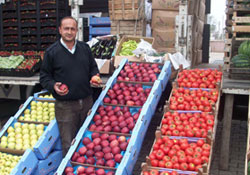 Halde yaprak dökümü