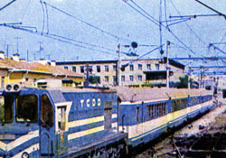 Treni Sev teşviki