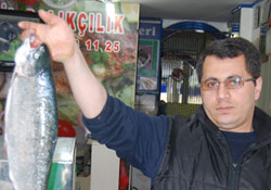 Balık pişirmek ve sunmak bir kültürdür