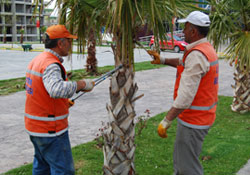 Atakum'da temizlik başladı