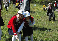 Ağaç dikme projesi