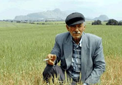 Doğudaki çiftçi  prim desteği alacak