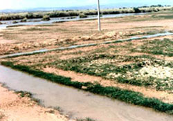 Sahil şeridinde drenaj çalışmaları başlatıldı