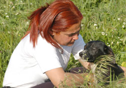 Sokak hayvanlarının barınakları yıkıldı