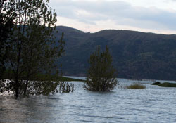 Kuraklık için endişelenmeye gerek yok!