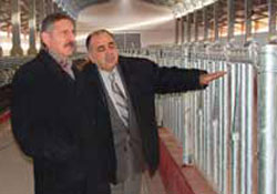 Damızlık koç dağıtıldı