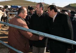 Haftanın yedi günü çalışıyor