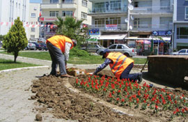 Sinop çiçeklendi