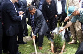 PTT çalışanları fidan dikti