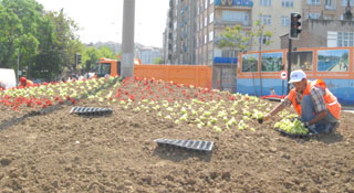 Samsun çiçekleniyor
