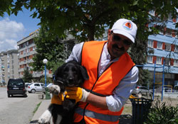 Sokak hayvanları aşılanıyor