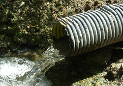 Doğal arıtma tesisi tamamlandı