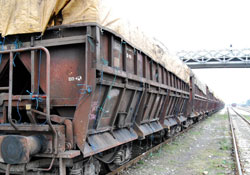 Demiryolu hattındaki otlar temizlenecek