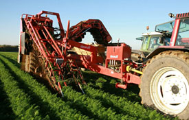 Çiftçinin, yüzü gülecek