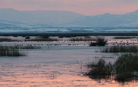 ''Göller yoksa yaşam da yok"