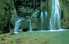 Türkiyenin akciğeri Karadeniz