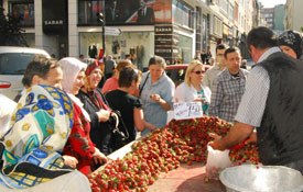 Çileğin fiyatı düştü