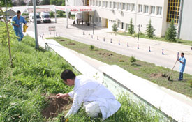 Tabip Odası hastaneyi yeşillendirdi