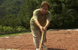 Fındıkta istikrar sağlanmalı